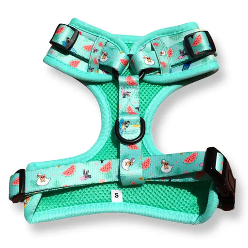 Puppies & Poms Harness - Summer Pawl Pawty - Dog Collars and Leads