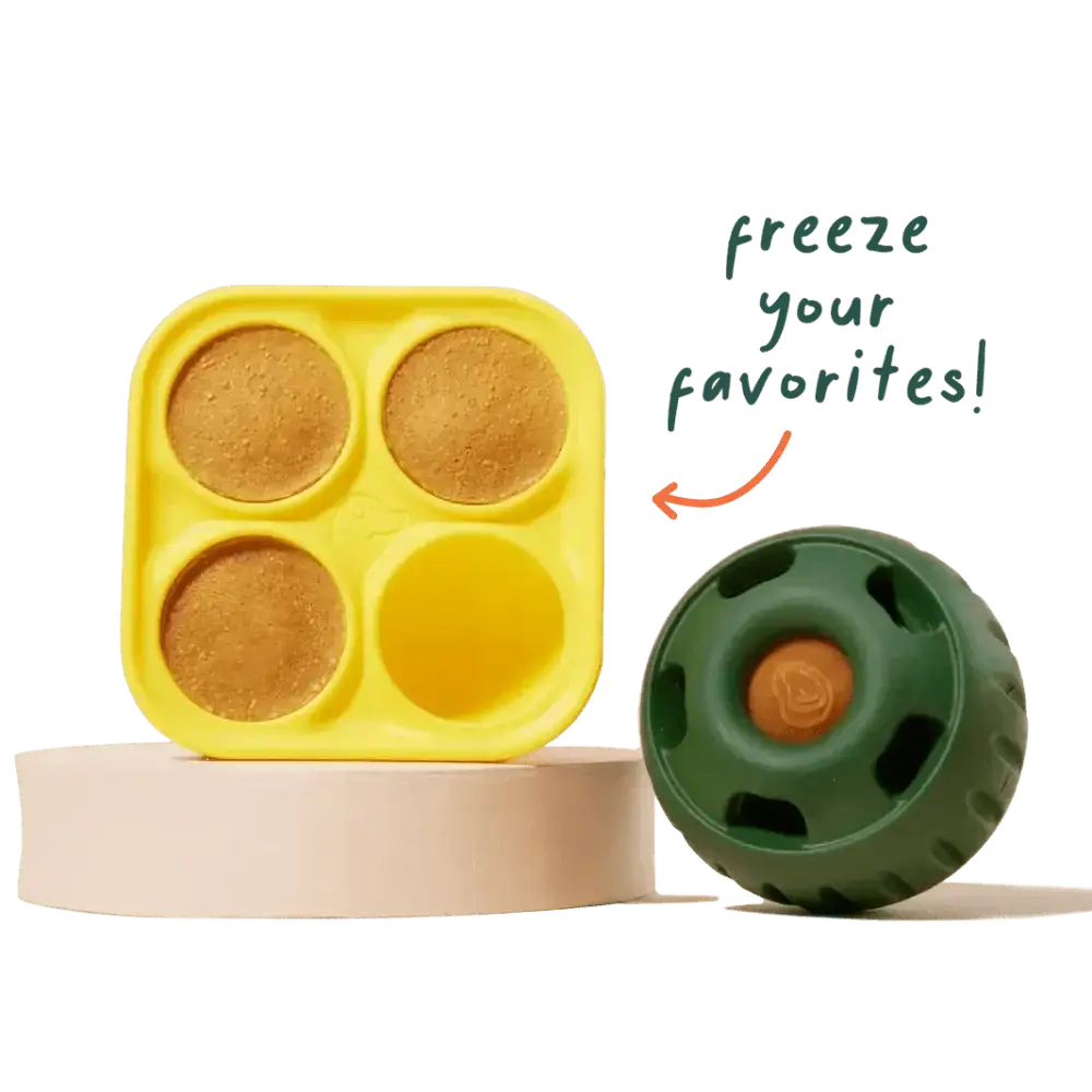 Pupsicle Toy Freezable Treat Tray for Dogs