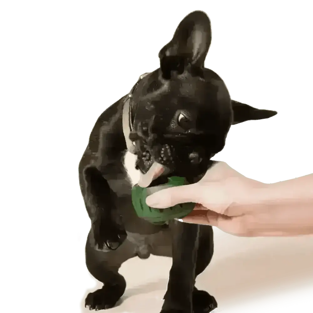 Pupsicle Toy Freezable Treat Tray for Dogs