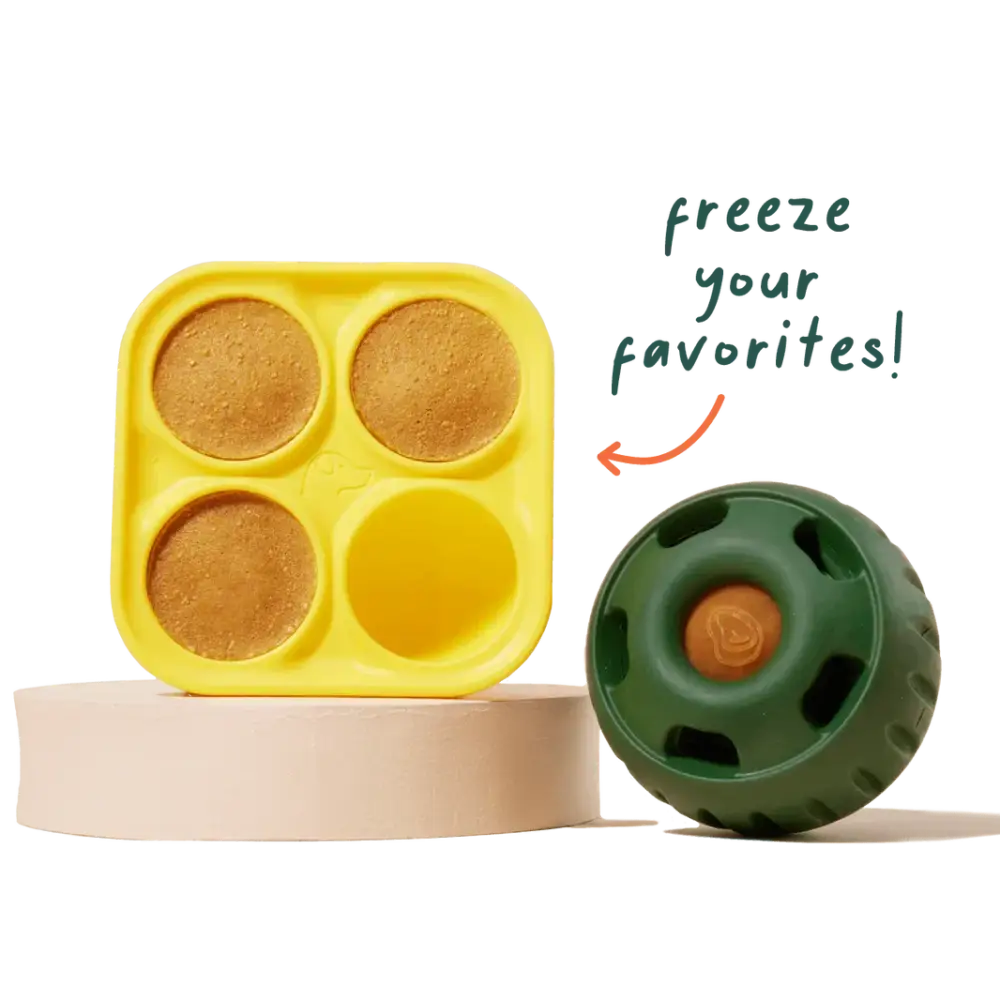 Pupsicle Toy Freezable Treat Tray for Dogs