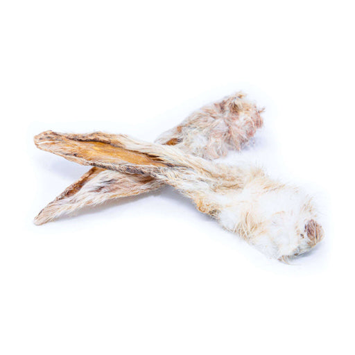 Rabbit Ear with Fur natural meat dog chew - A Natural Dog Chew Available At The Pets Larder Natural Pet Shop.