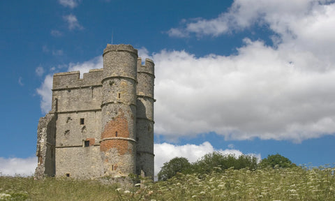 Dog Friendly Walks Berkshire South East