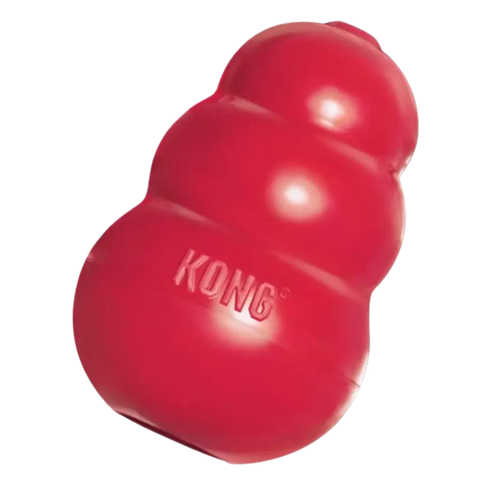 KONG Puzzle Toy
