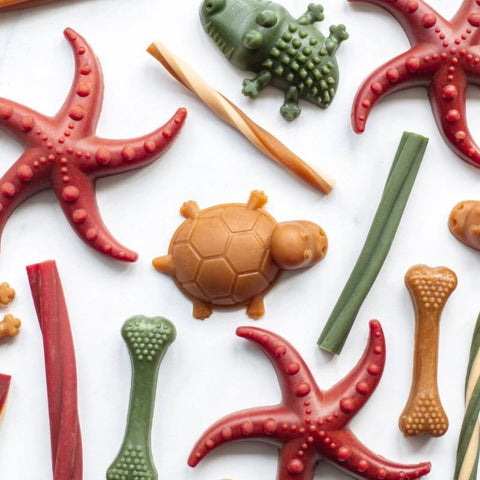 Vegetarian dog Treats