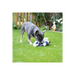 Rosewood Maisie Mouse Plush Dog Toy | Soft plush toy for dogs