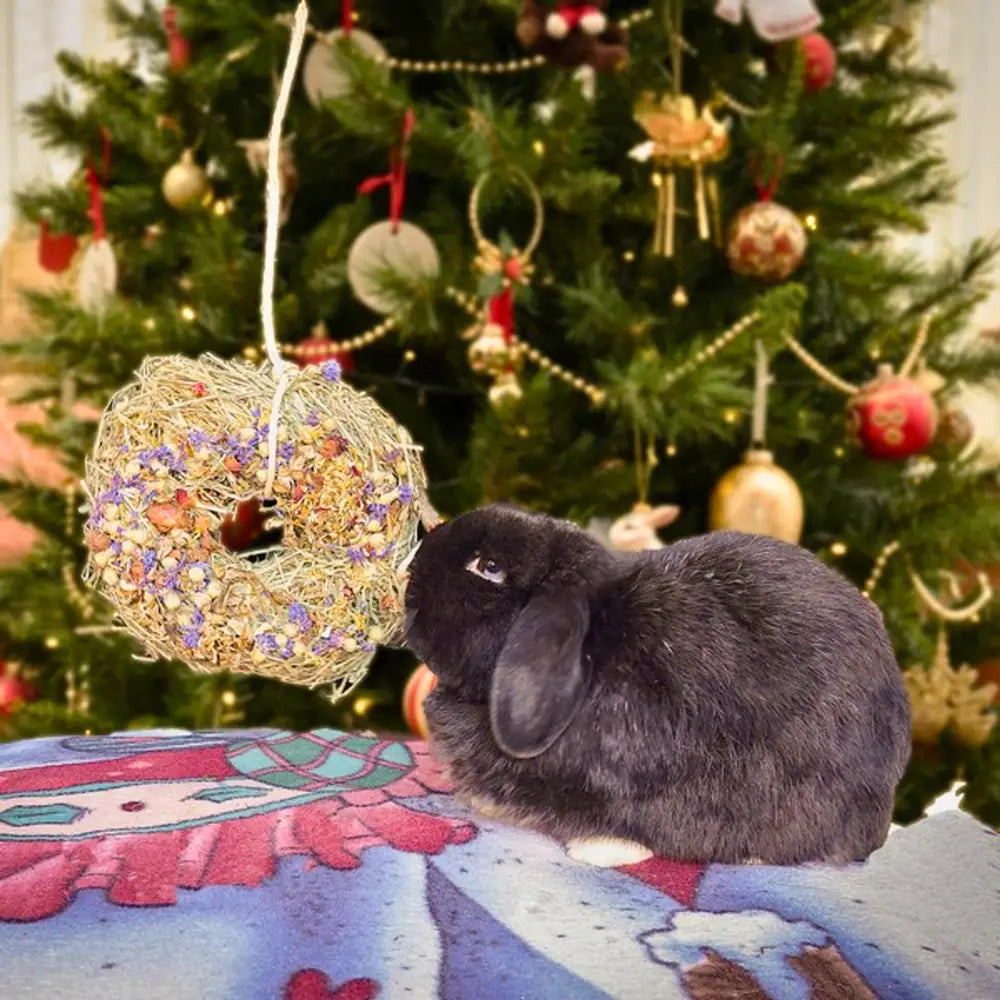 Rosewood Winter Wreath golden hay ball feeder with purple floral accents for rabbits