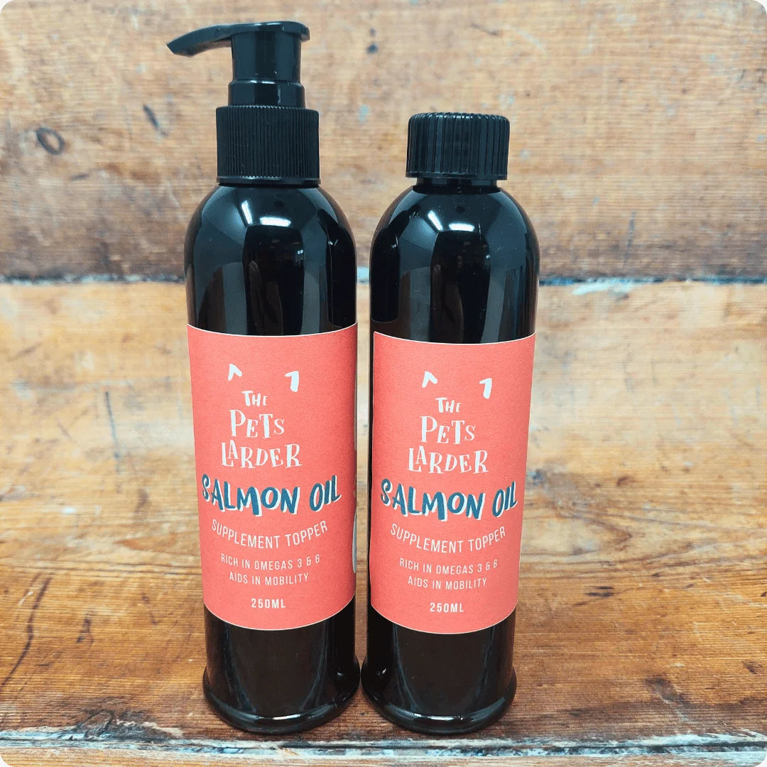 Skin & Coat Care For Cats