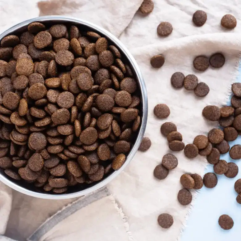 A silver bowl filled with brown, round kibble pellets.