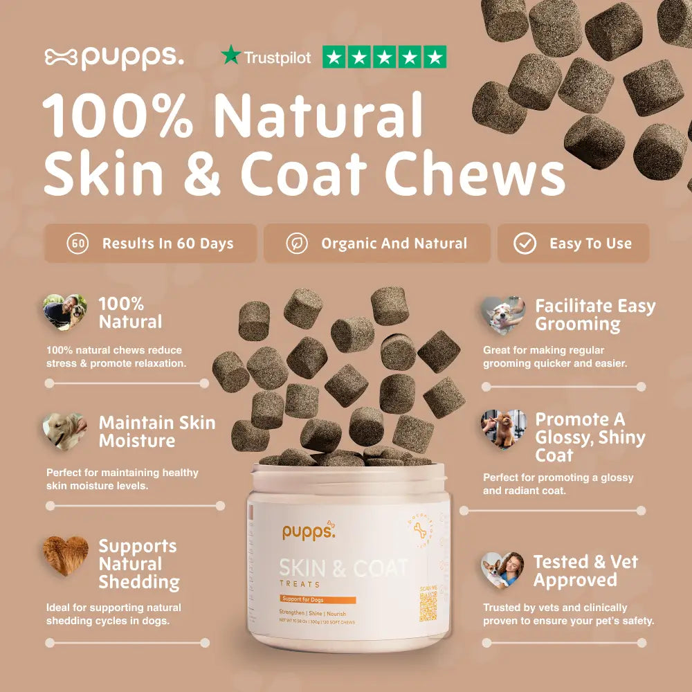 Skin & Coat Treats - Skin & Coat Treats