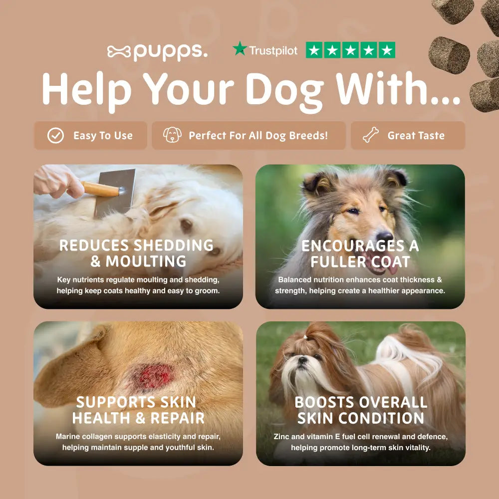 Skin & Coat Treats - Skin & Coat Treats