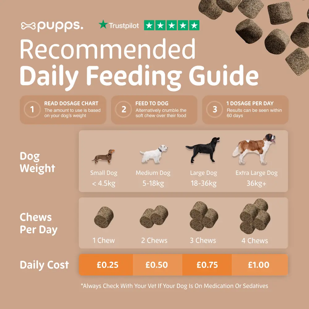Skin & Coat Treats - Skin & Coat Treats