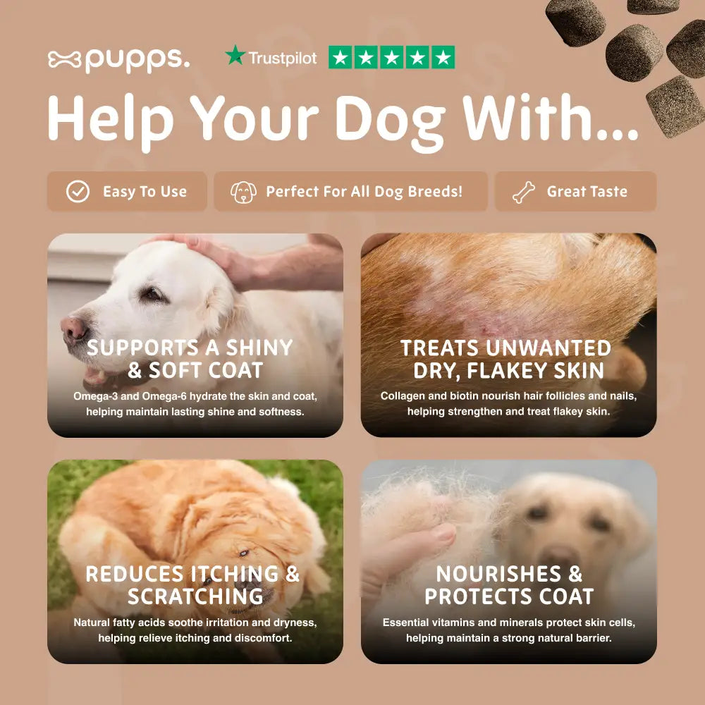 Skin & Coat Treats - Skin & Coat Treats