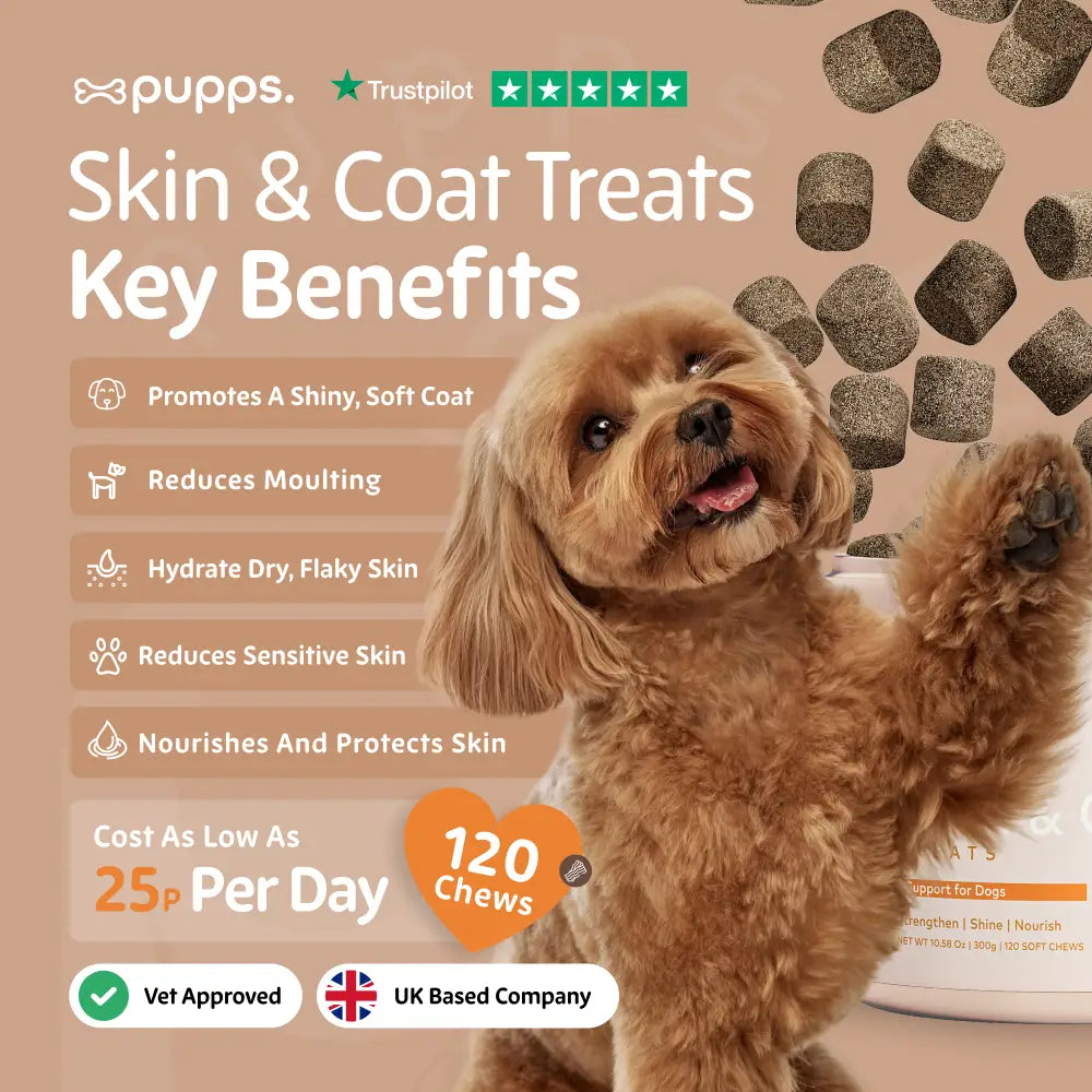 Skin & Coat Treats - Skin & Coat Treats