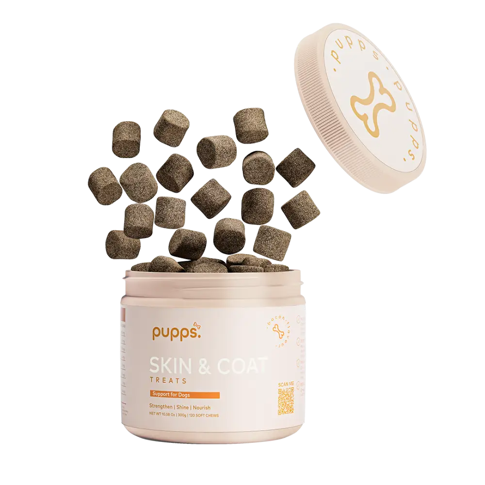 Skin & Coat Treats - Skin & Coat Treats