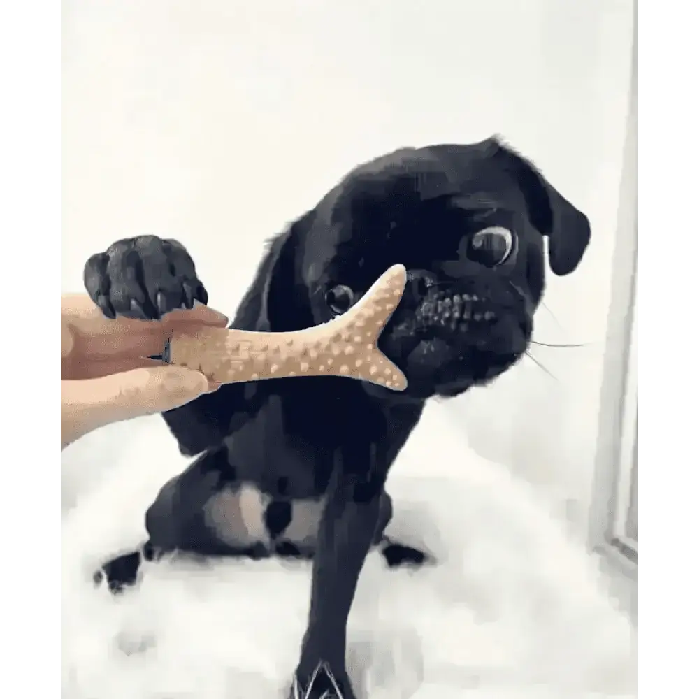 Bone-shaped dog toy with textured surface, durable rubber, part of Small Vegetable Chew Variety Box for Dogs
