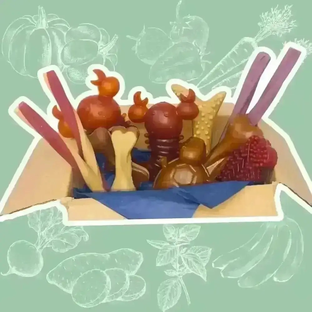 Brown dog treat box with vegetable chew variety and assorted chew toys and treats