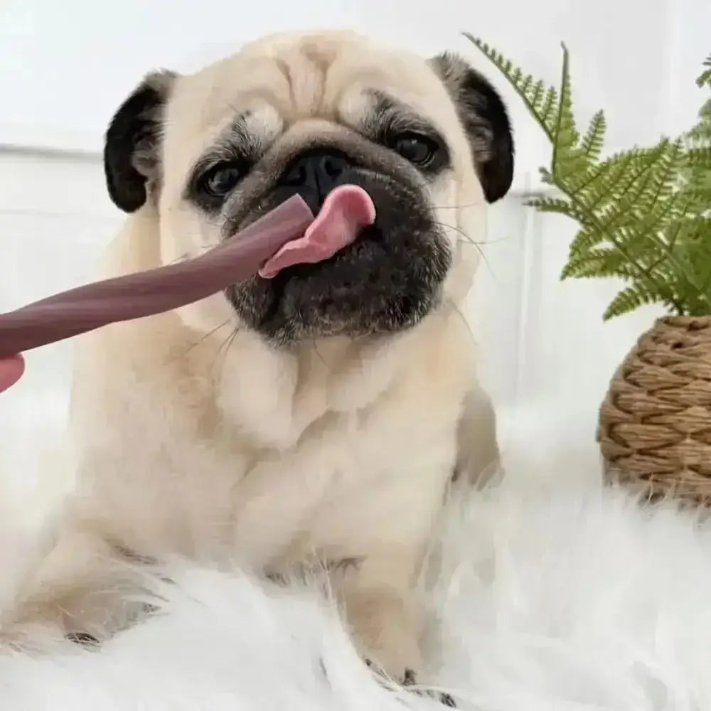 Chocolate dog treat stick with textured surface from Pupperoni in vegetable chew variety box