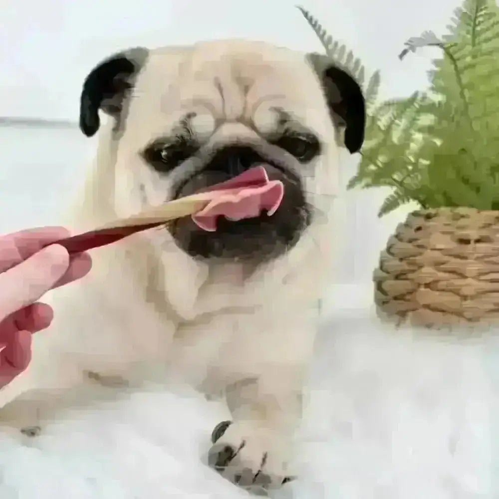 Wooden spoon with pink ice cream design for Small Vegetable Chew Variety Box for Dogs
