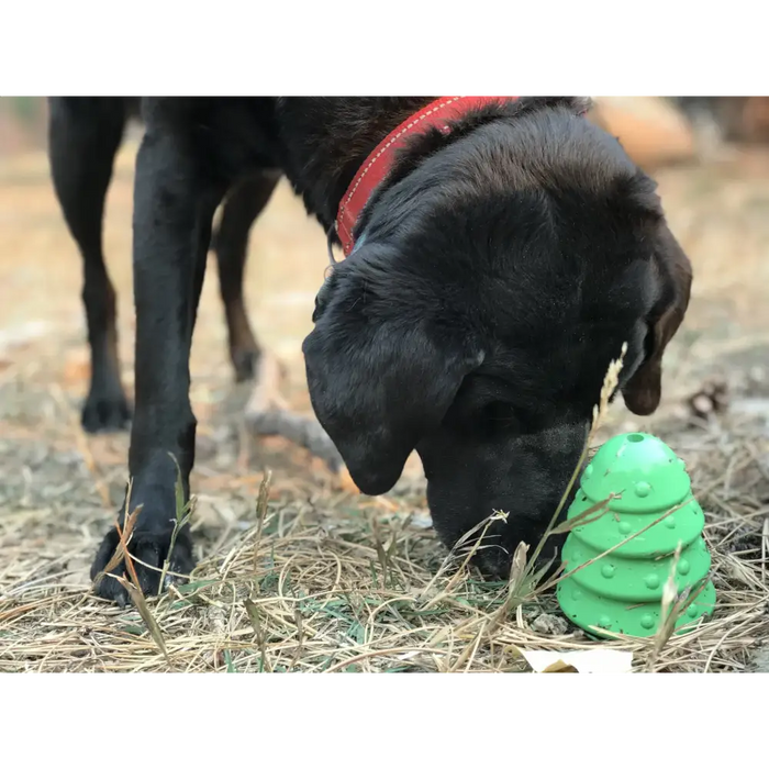Christmas Tree Treat Dispenser & Dog Chew Toy - Large | Festive toys for dogs