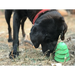 Christmas Tree Treat Dispenser & Dog Chew Toy - Large | Festive toys for dogs