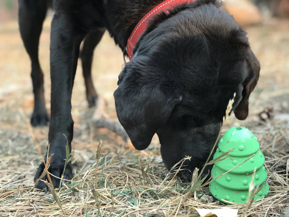 Christmas Tree Treat Dispenser & Dog Chew Toy - Large | Festive toys for dogs