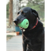 Christmas Tree Treat Dispenser & Dog Chew Toy - Large | Festive toys for dogs