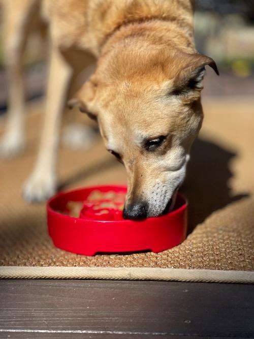 SodaPup Santa Design Ebowl Enrichment Slow Feeder Bowl For Dogs - Bowls & Feeding