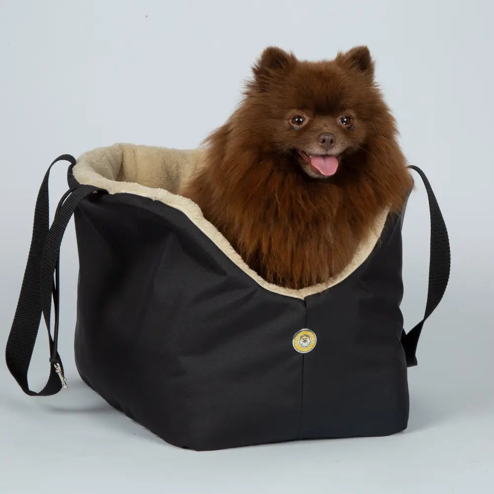 Black and beige luxury rainy bear dog carrier with button closure for comfort