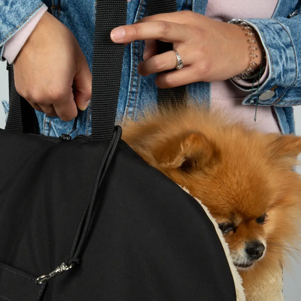 Soho Poms Black and Beige Luxury Rainy Bear Dog Carrier with adjustable straps and fleece lining