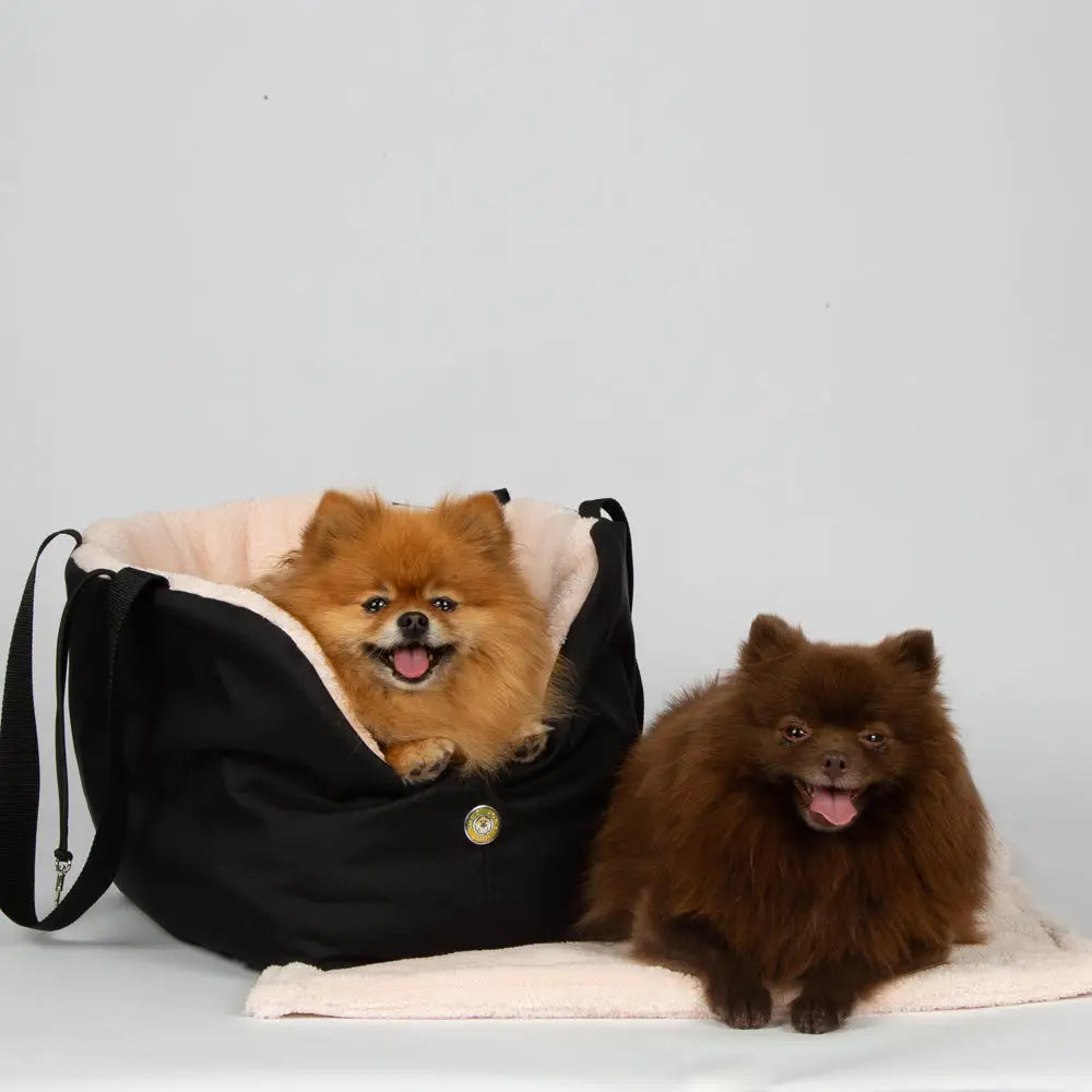 Black and cream Soho Poms Black and Pink Luxury Rainy Bear Dog Carrier with plush interior