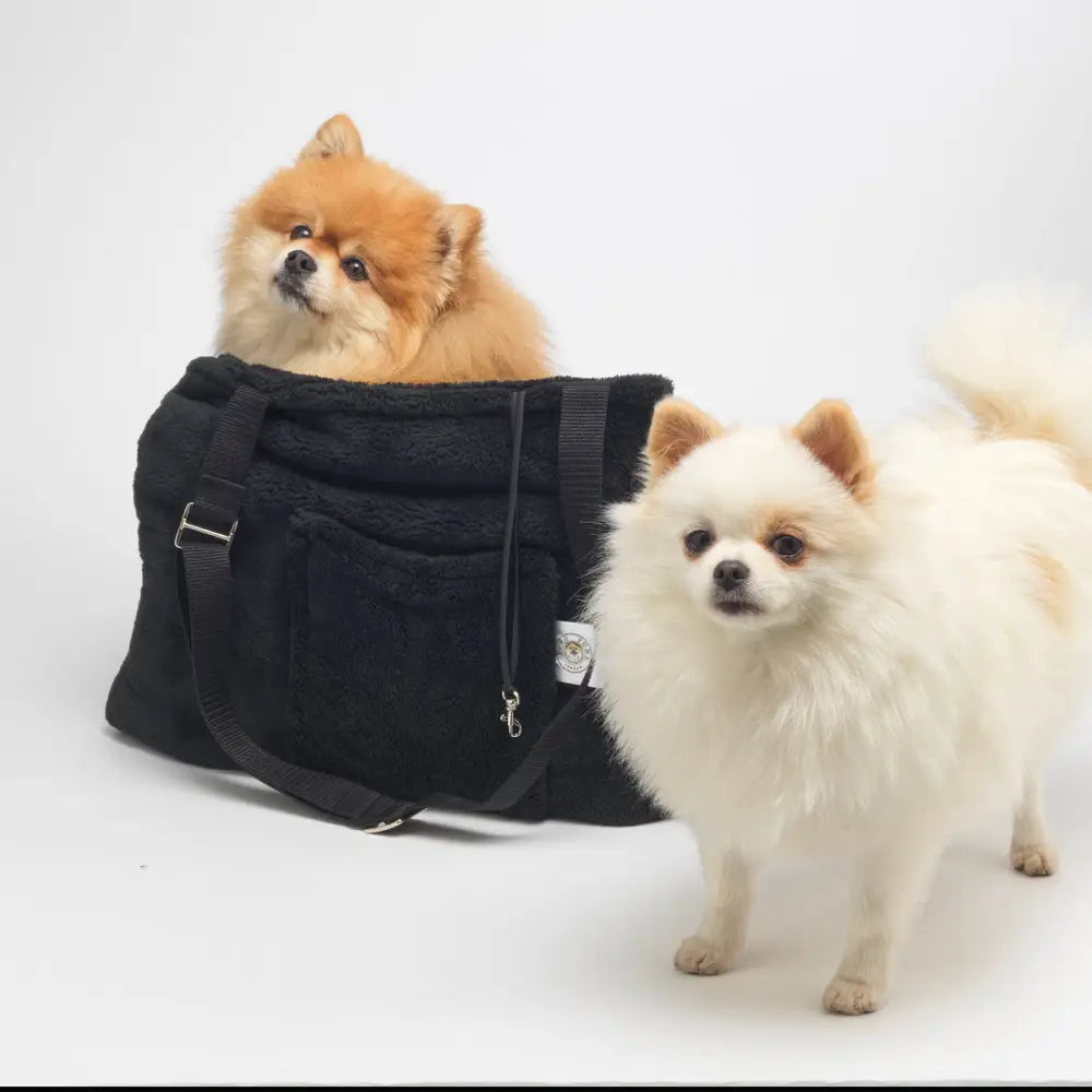 Black canvas Soho Poms Forest Teddy Bear Dog Carrier with zipper and adjustable strap