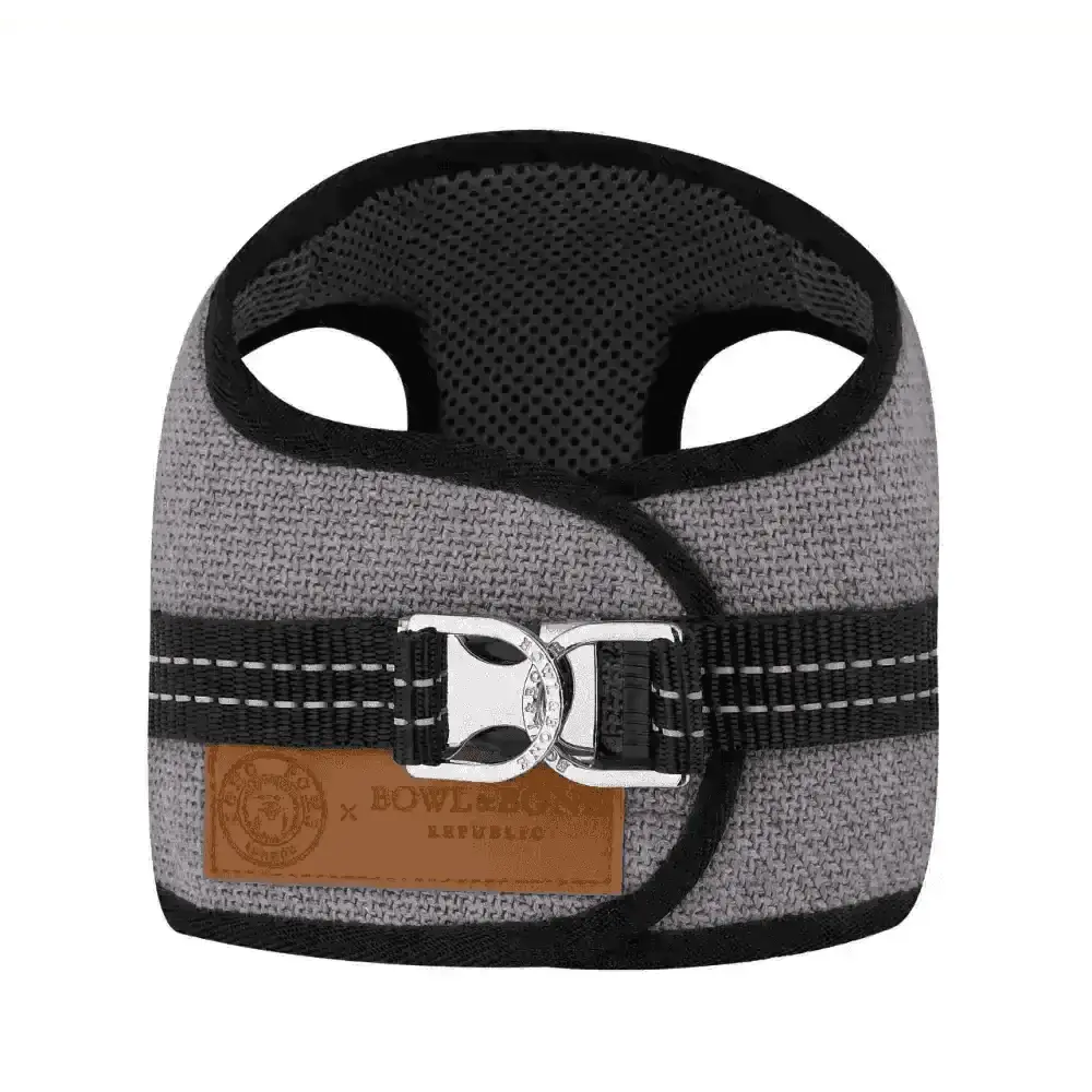Lavender Soho Poms x Bowl & Bone Republic Mayfair Harness with black mesh and silver hardware