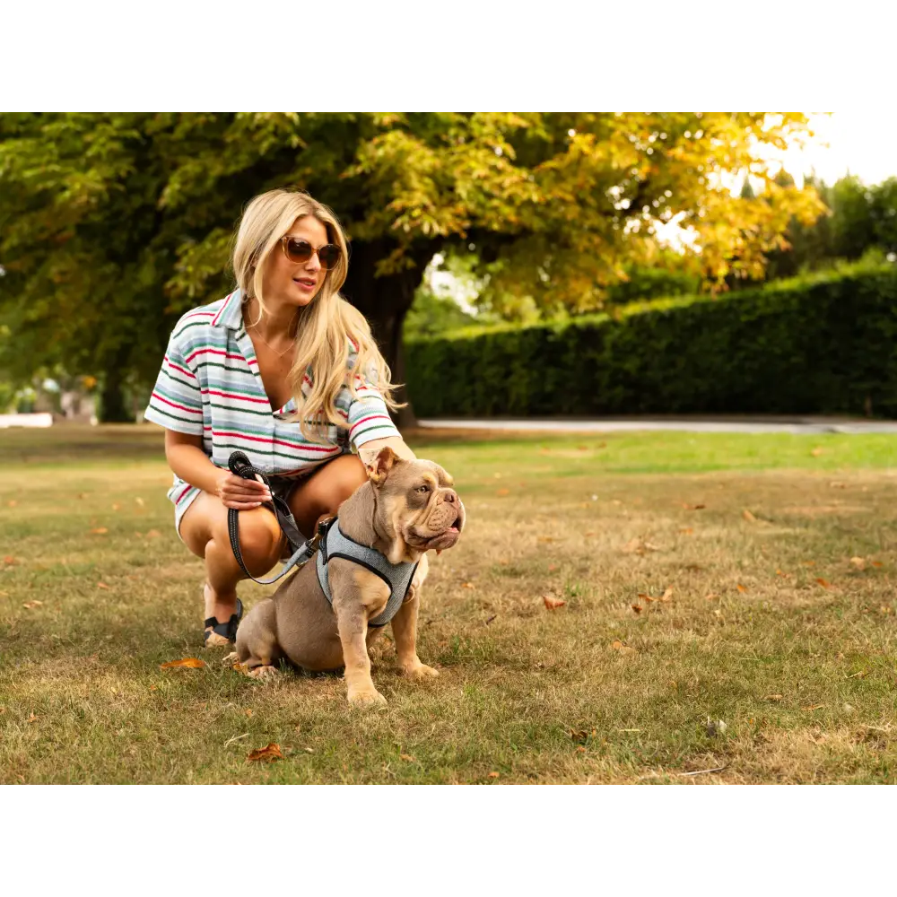 Soho Poms x Bowl & Bone Republic Mayfair Harness - Ocean - Dog Harnesses