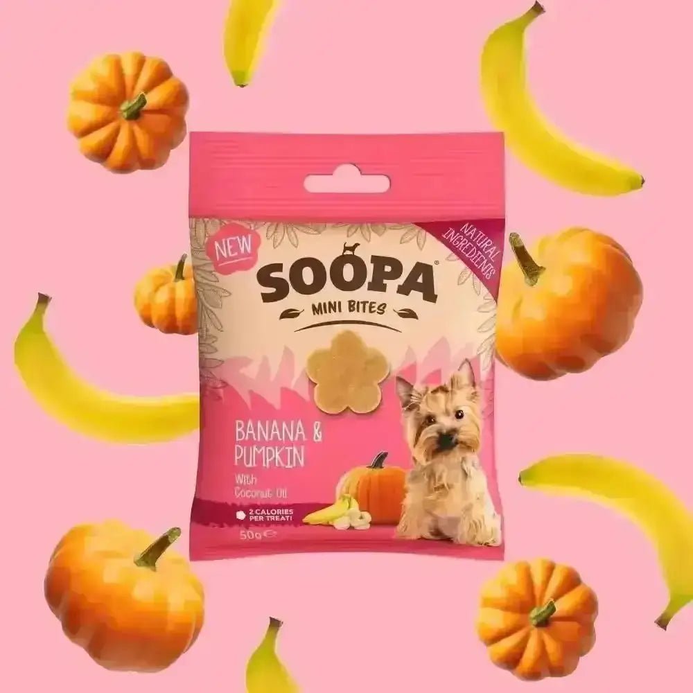 Soopa Banana healthy bites for mini dogs with pumpkin treat bag