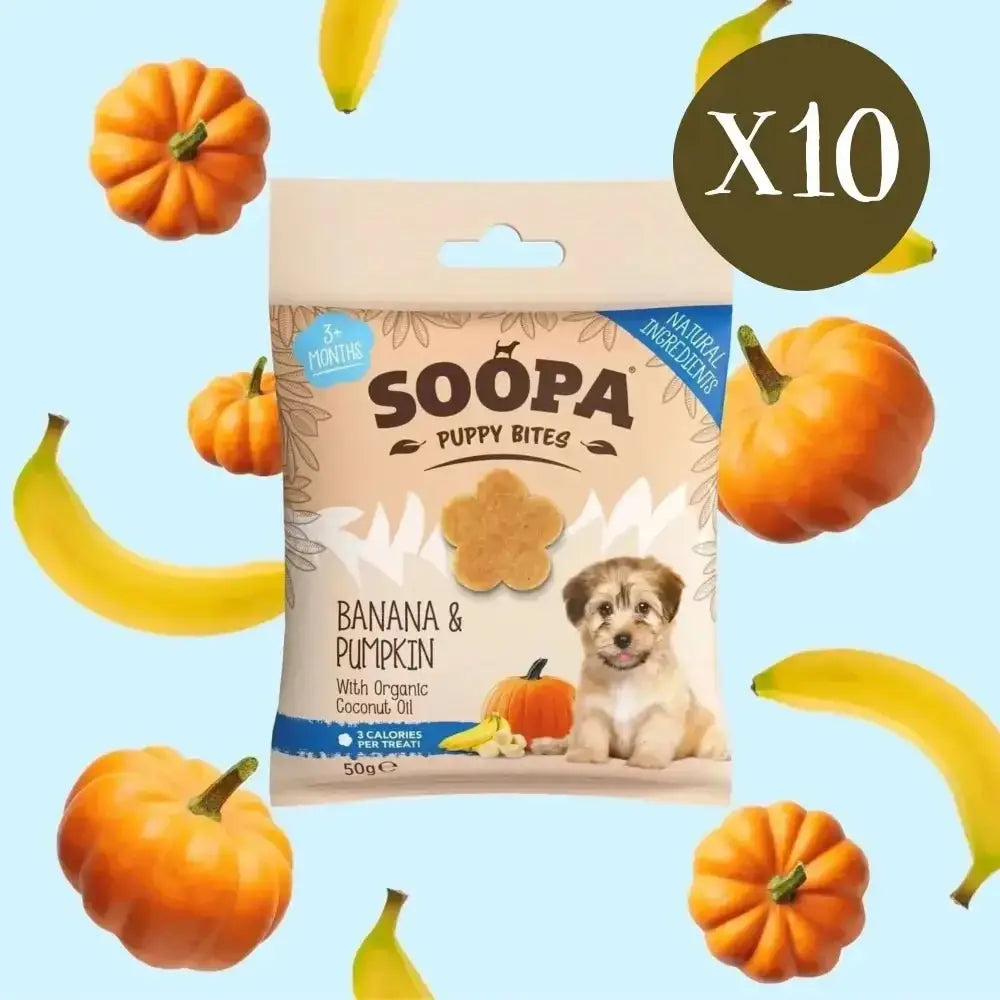 Healthy pumpkin puppy bites with organic coconut oil from Soopa Banana & Pumpkin Puppy Bites box