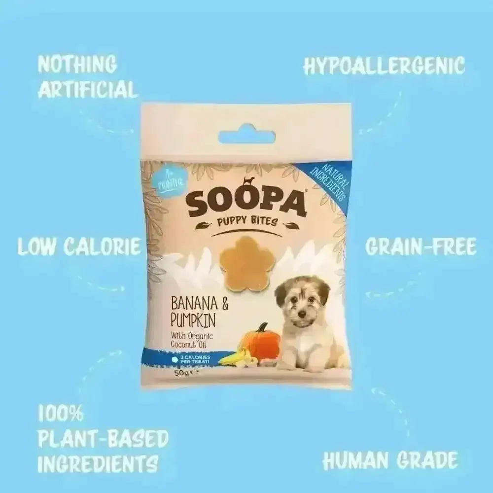 Healthy pumpkin puppy bites and Soopa Banana puppy treats in a box of 10