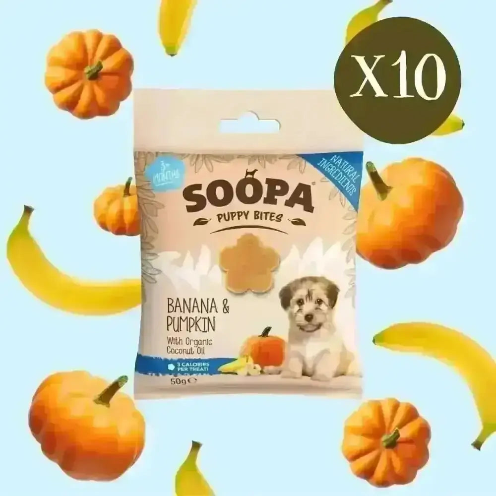 Healthy pumpkin puppy bites with organic coconut oil from Soopa Banana & Pumpkin Puppy Bites box
