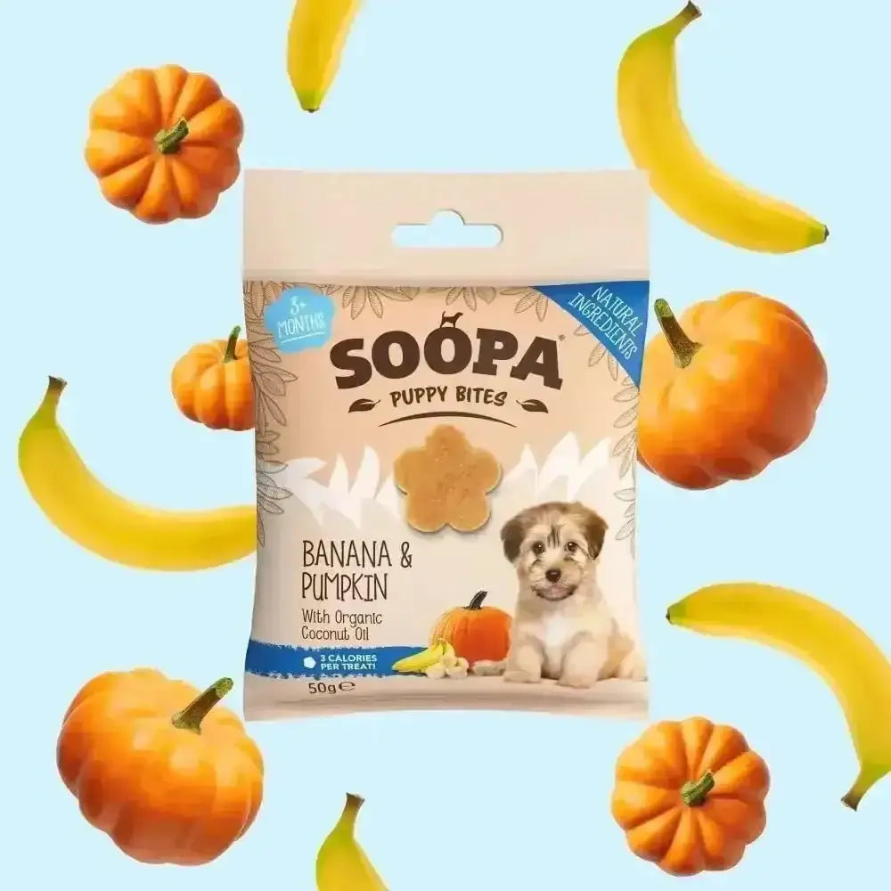 Banana and pumpkin puppy treats with organic coconut oil from Soopa, ideal for pumpkin puppy bites