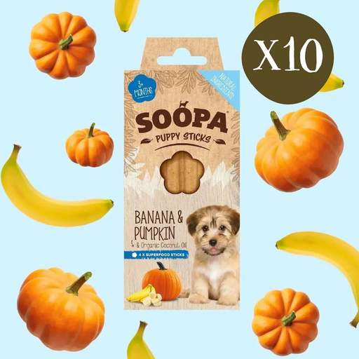 Soopa Banana & Pumpkin Puppy Dental Sticks - Box of 10 - Natural Dog Chew