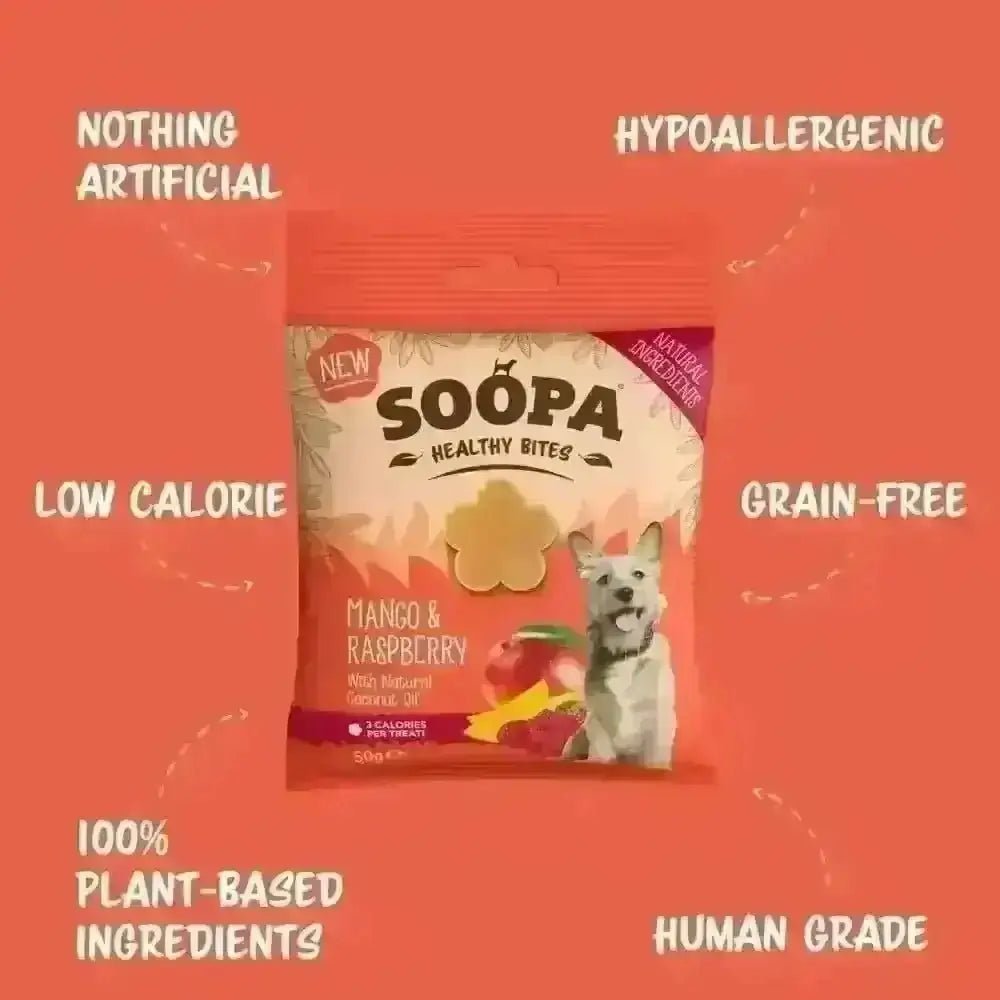 Soopa Mango & Raspberry Healthy Bites Dog Treats 50g - Natural for Dogs | Pet Shop