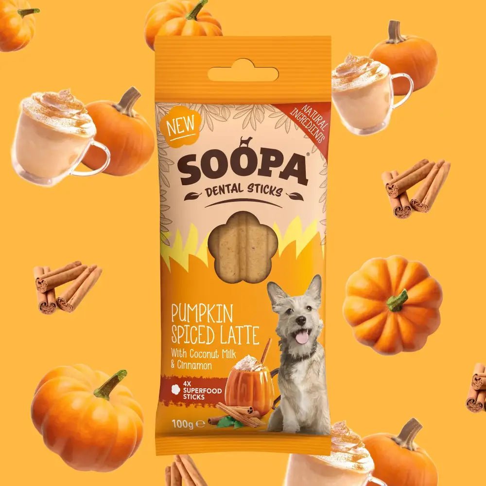 Soopa Pumpkin Spiced Latte Dental Sticks, delicious dog treat with coconut milk and cinnamon