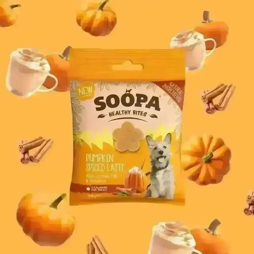 Soopa Pumpkin Spiced Latte Healthy Bites delicious dog treat with plant-based ingredients to regulate blood sugar