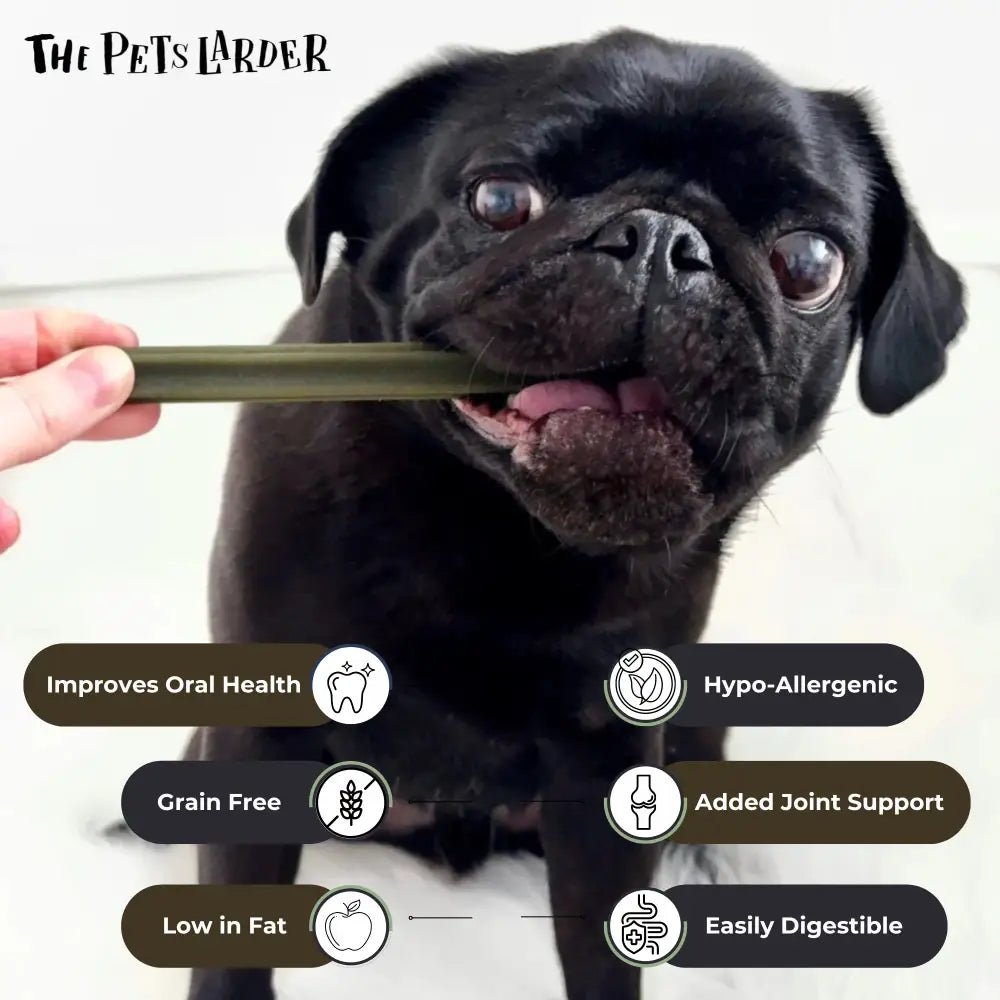 Black pug chew stick with Green Label for dogs, Spinach and Cranberry Chew Stick