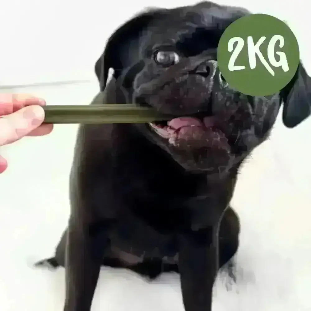 2kg Spinach & Cranberry Chew Stick for dogs urinary tract and dental health