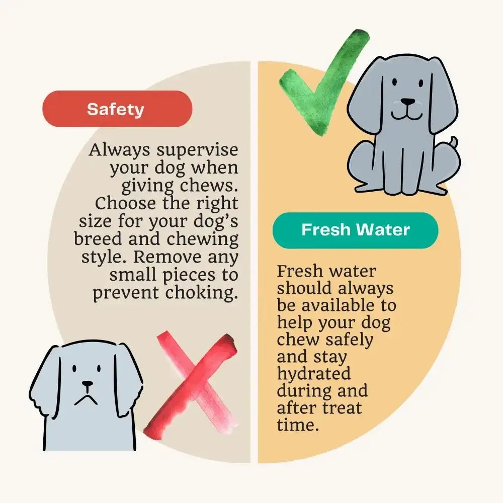 Dog chew toy with red X warning on Spinach & Cranberry Chew Stick for urinary tract health