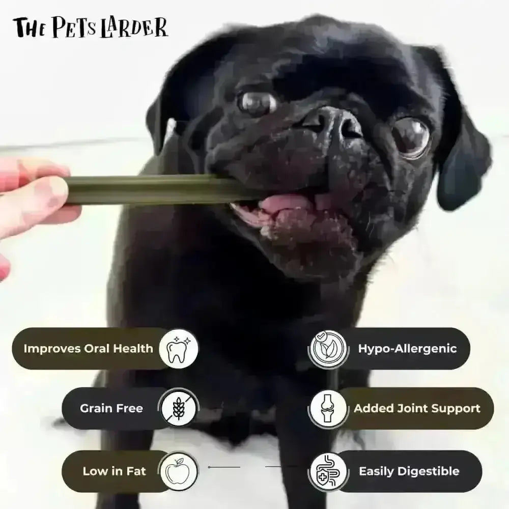 Dark green hypoallergenic Spinach & Cranberry Chew Stick for dogs dental health