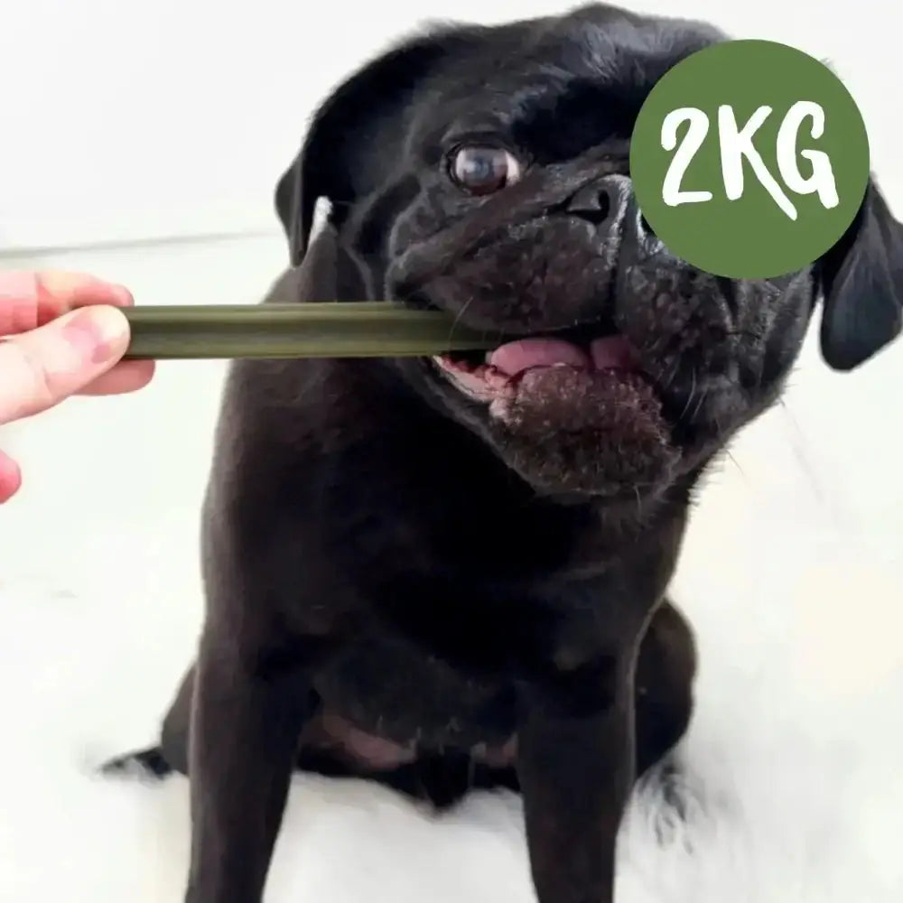 2kg Spinach & Cranberry Chew Stick for dogs urinary tract and dental health
