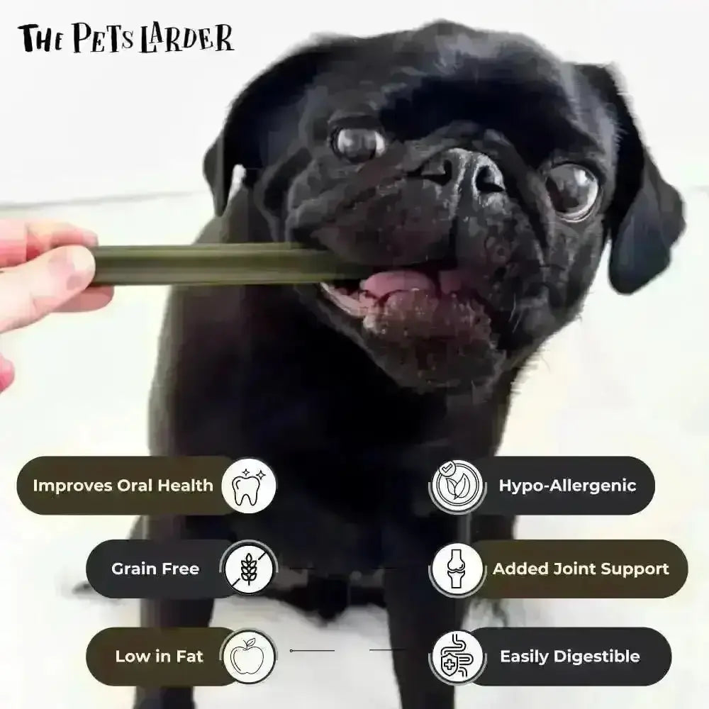 Black pug chew stick with Green Label for dogs, Spinach and Cranberry Chew Stick