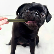 Olive green bamboo toothbrush with black bristles for eco-friendly oral care and cranberry chew stick for dogs
