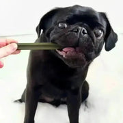 Olive green bamboo toothbrush with black bristles for eco-friendly oral care and cranberry chew stick for dogs